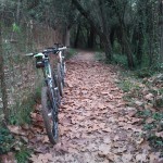 La Hivernal de Santa Maria de Palautordera